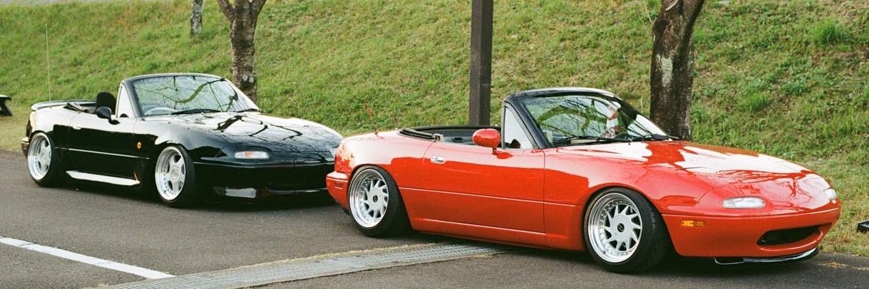 shimeji_39's profile banner image
