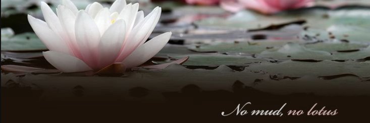 GiliBeiman's profile banner image