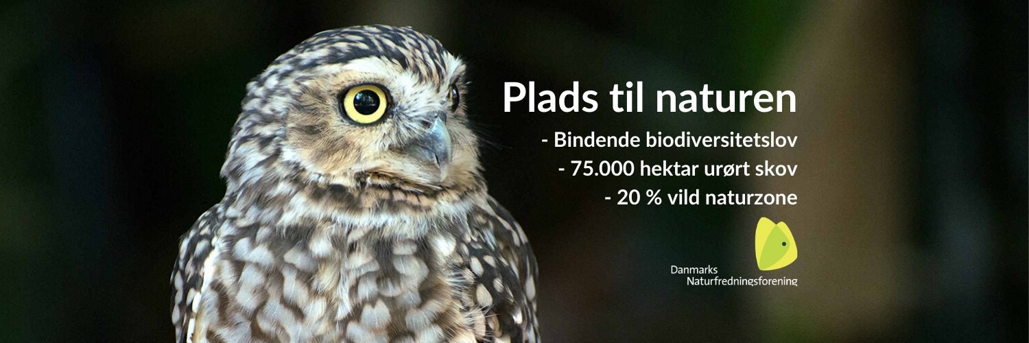 Maria R. Gjerding banner