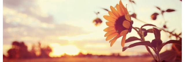 kendall_huff's profile banner image