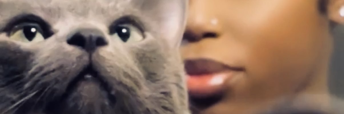 maurs_'s profile banner image