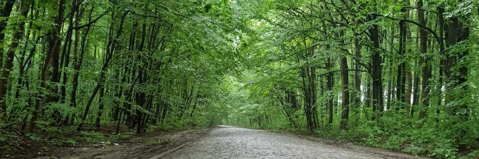 IvanK_odesa's profile banner image