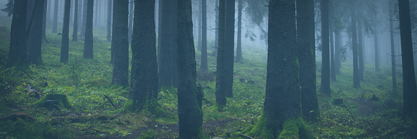 theZimbros's profile banner image