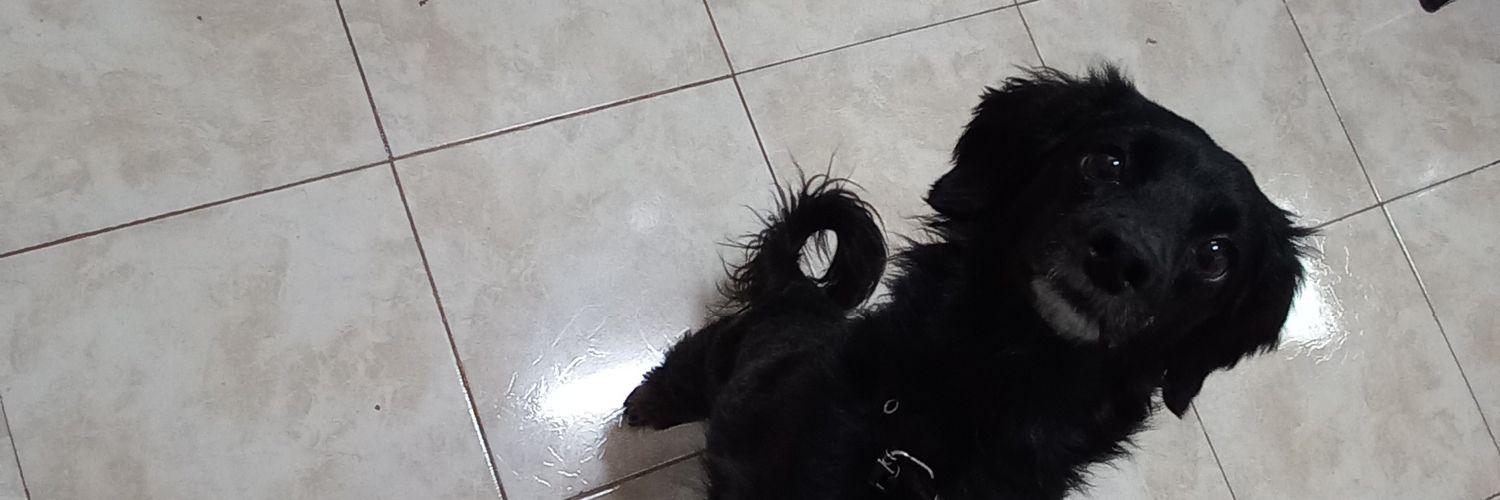 FacundoArce_10's profile banner image