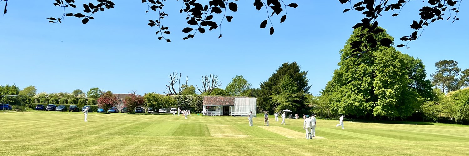 Dyrham & Hinton CC 🦌 banner