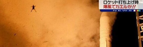 dirty_frog's profile banner image