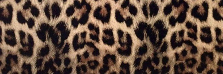 sweetsaddle's profile banner image
