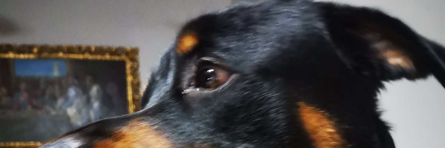 juanka2368's profile banner image