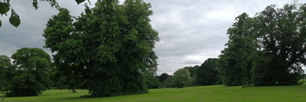 GeorgeEdgar23 Profile Banner