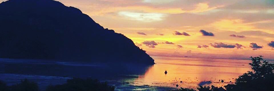 tenyld's profile banner image