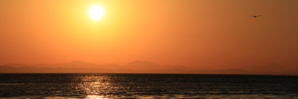 bumbleequeen's profile banner image