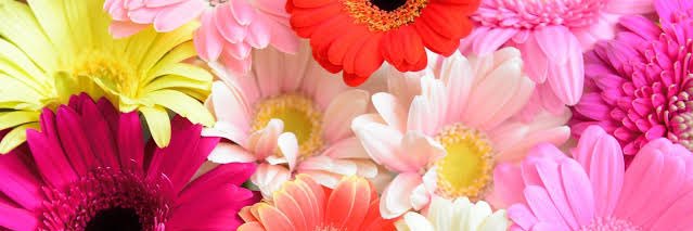comao_1616's profile banner image