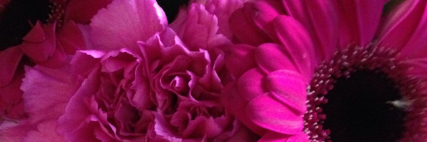 msmorris_peel's profile banner image