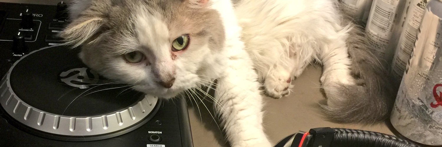 DjchamppsMark's profile banner image