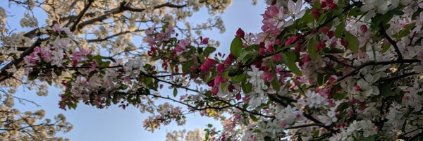 PearlescentMoon Profile Banner