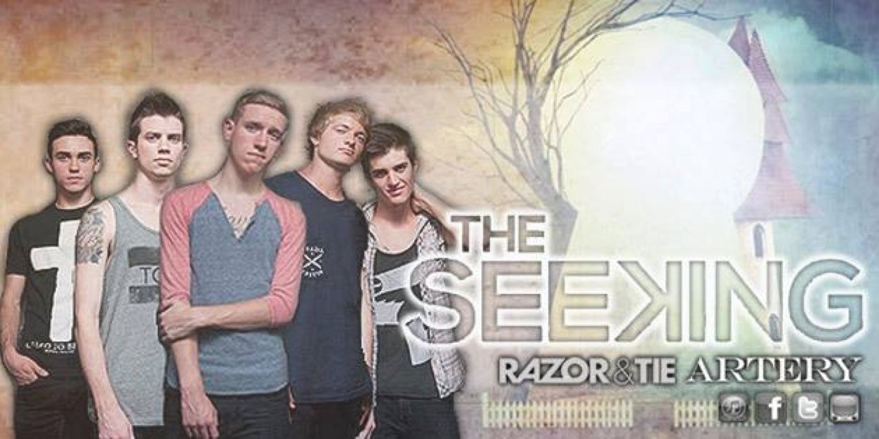 theseeking's profile banner image