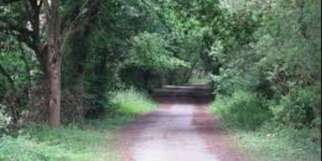 Gareth Taplin banner