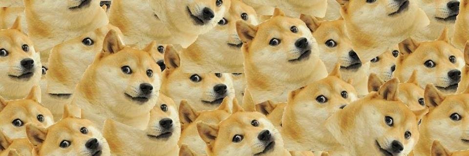 Haleyhellberg's profile banner image