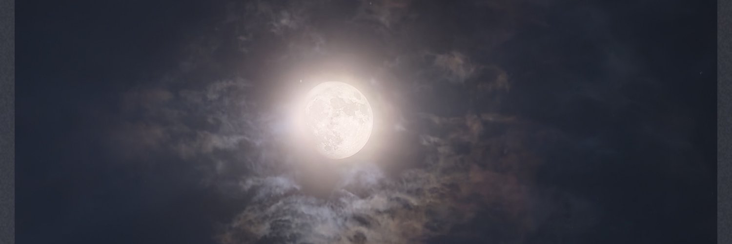 plagimlim's profile banner image