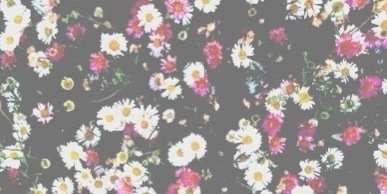 Itsdaruskactgdr's profile banner image