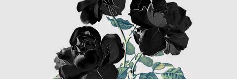 saradipity_'s profile banner image