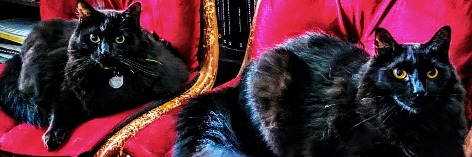 _MSanchez_'s profile banner image