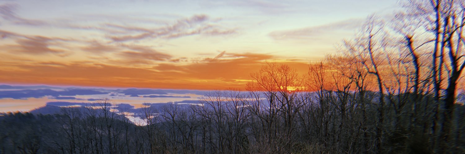 worthog506's profile banner image