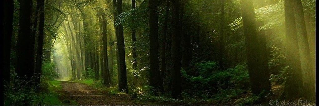 HallsOfTime's profile banner image