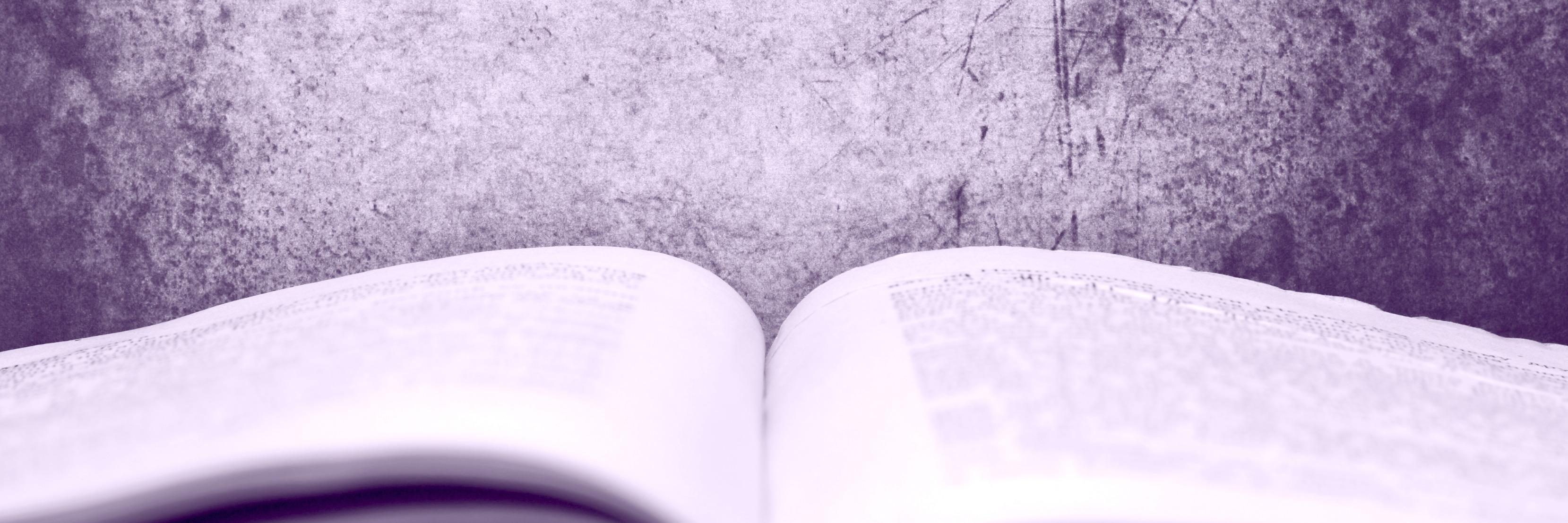 Janet VA/Proofreader banner