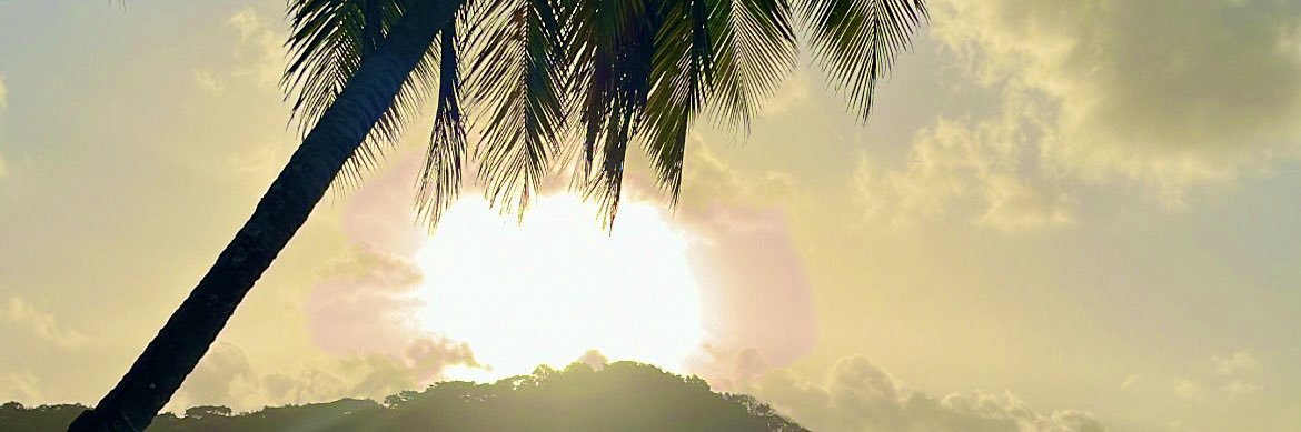 rigo_pty's profile banner image