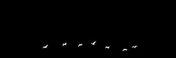 c__dyyy's profile banner image