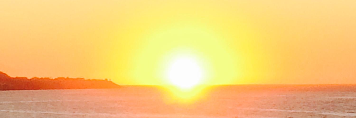 Guy banner