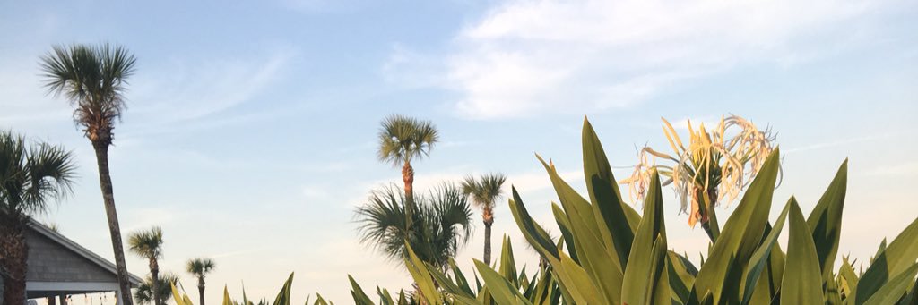 taylorhalsema's profile banner image