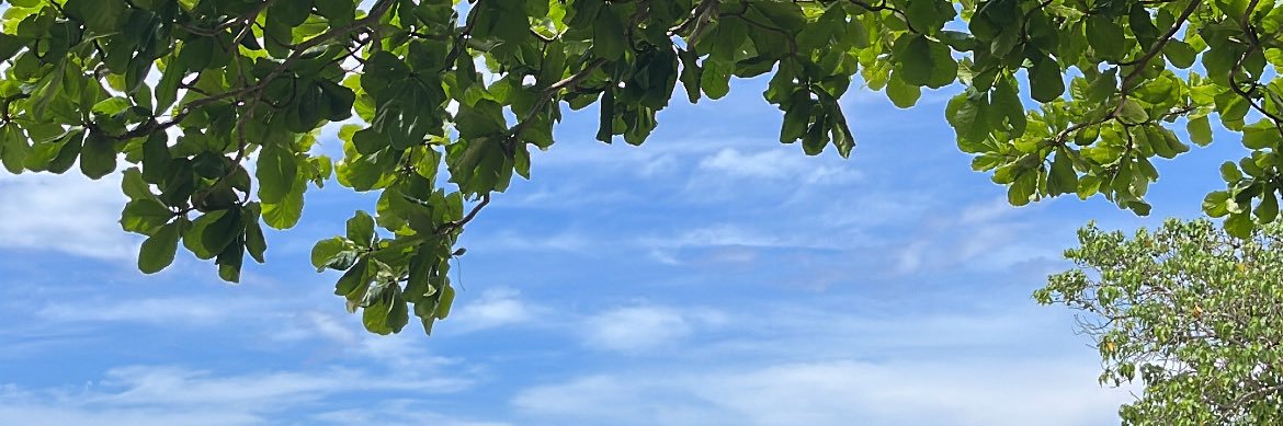 GibranRodz's profile banner image