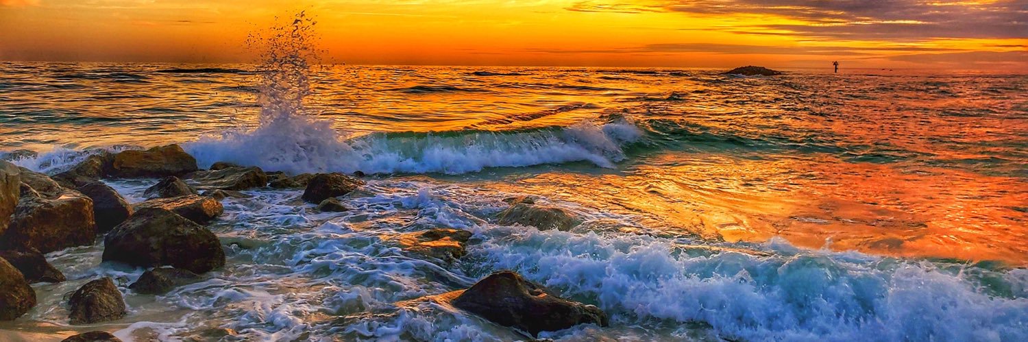 Stephanie Walker banner