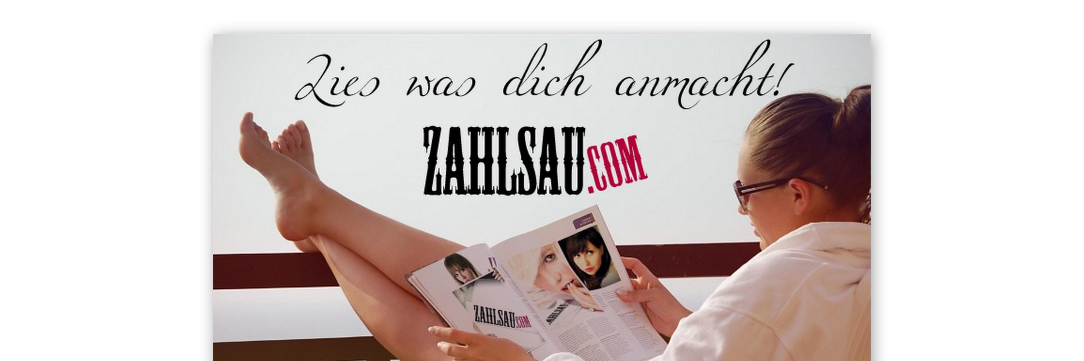 Zahlsau banner