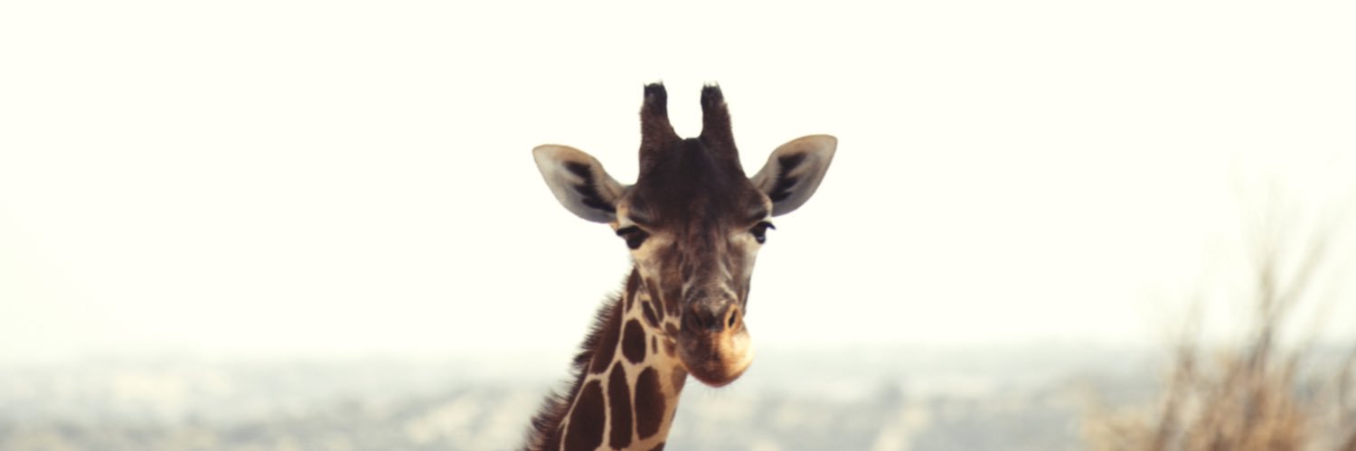 aldaradavid's profile banner image