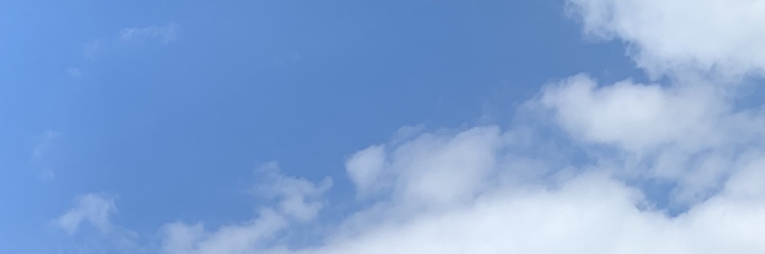 gooseforthought's profile banner image