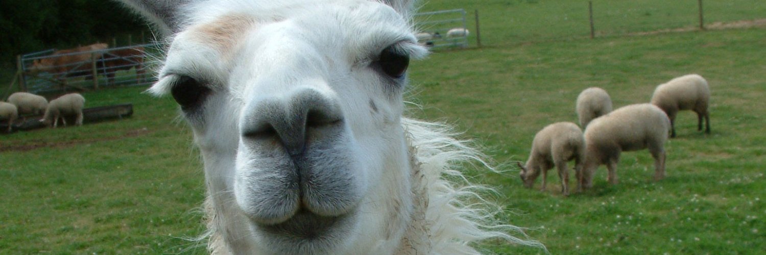 lamadickens's profile banner image