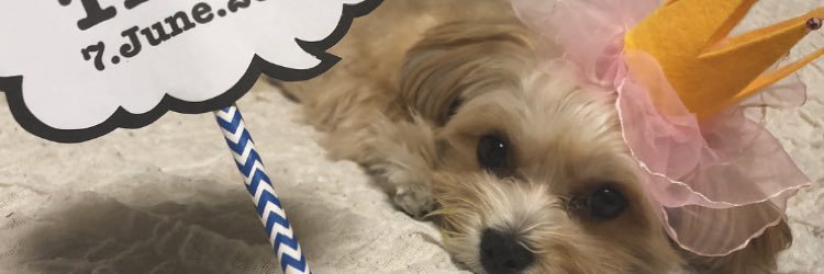 yuri01284's profile banner image