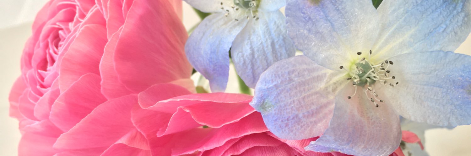 hacodesuyo's profile banner image
