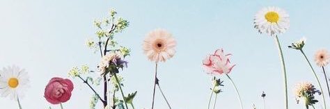 emerson.fischer banner