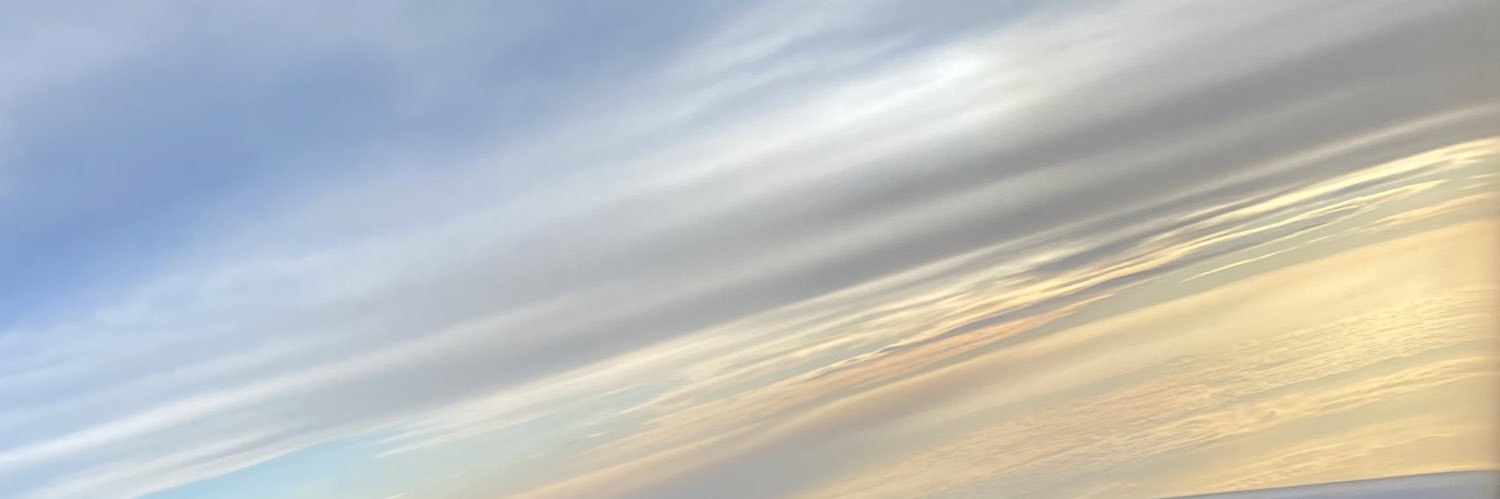 twomimirr's profile banner image