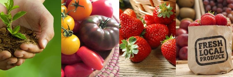 WokingLocalFood's profile banner image