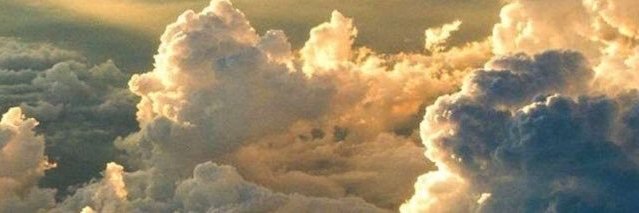 aboshawky0's profile banner image