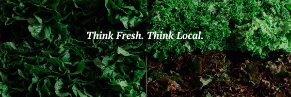 MetroGlebe Profile Banner