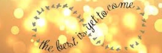 nfehlinger's profile banner image
