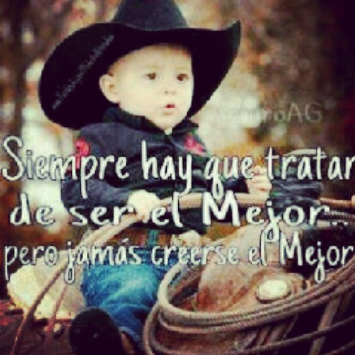 Daniel Rodriguez banner