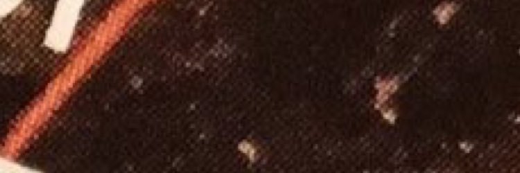ariharuteen's profile banner image