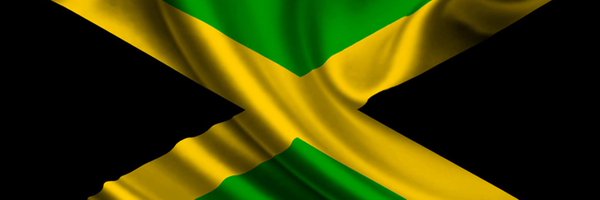 iamtameeks Profile Banner
